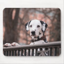 Search for interest mousepads Outdoor