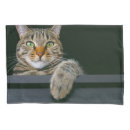 Search for eyes pillowcases Tabby cat