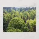 Search for wald Grün