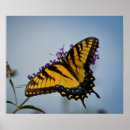 Recherche de rêve de papillon posters Nature