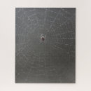 Recherche de spider puzzles Araignées