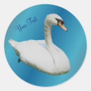 Search for swan bird stickers Nature