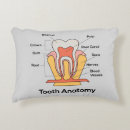 Recherche de anatomie coussins Santé