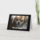 Search for funny dog birthday cards Pup