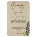 Search for kitchen witch magnets Witchcraft