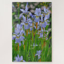 Search for iris puzzles Floral