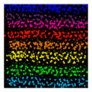 Search for rainbow peace sign posters Equality