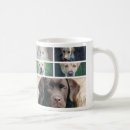 Search for pet photographer mugs Create your own