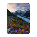 Recherche de valais magnets Montagne enneigée