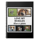 Search for beagle notebooks Hound