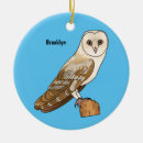Search for barn owl ornaments Tyto alba
