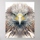 Recherche de dessin d aigle posters Nature