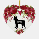Search for in loving memory pet ornaments For pets
