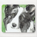 Recherche de de border collie électronique Canin