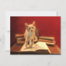 Recherche de lecture cartes postales Animaux domestiques