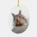Search for funny squirrel ornaments Rodent