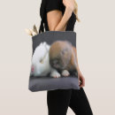 Search for selective focus bags Domestic animals