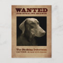 Search for dobermann postcards Dobie