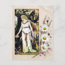 Recherche de fée papillon cartes postales Illustration