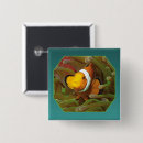 Search for anemone buttons Clownfish
