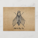 Search for flying bugs postcards Vintage