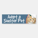 Search for tabby bumper stickers Shelter