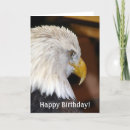 Search for eagle birthday cards Bald