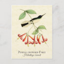 Search for purple fairies postcards Vintage