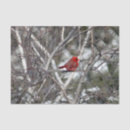 Search for birch trees tissue paper Snow