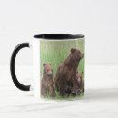 Search for brown bears mugs black bear