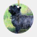 Recherche de terrier de cairn ornements Mignon