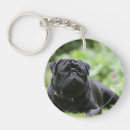 Search for black pug keychains Mops