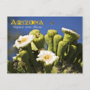 Search for giant flower postcards Blossom