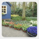 Search for aka stickers Europe