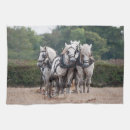 Search for percherons Farm