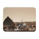 Search for ethnic magnets Africa