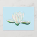 Recherche de nénuphars bleus cartes postales Fleurs