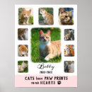 Recherche de citations de chat posters Pour animaux
