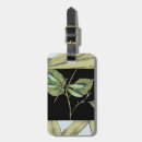 Search for insect accessories Black