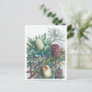 Search for native flower postcards Flora