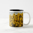 Search for bandon mugs Northwest