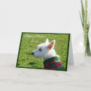 Search for westie mothers day cards Mom