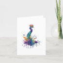 Recherche de peacocks Pour tous