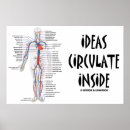 Search for circulatory system posters Biology