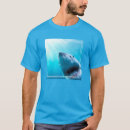 Search for shark photography Wildlife