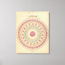 Search for different canvas prints Colour