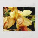 Search for pale postcards Pink