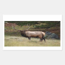 Search for big buck stickers Animal