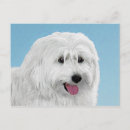 Recherche de chien de berger cartes postales Blanc