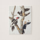 Recherche de copper puzzles Oiseaux